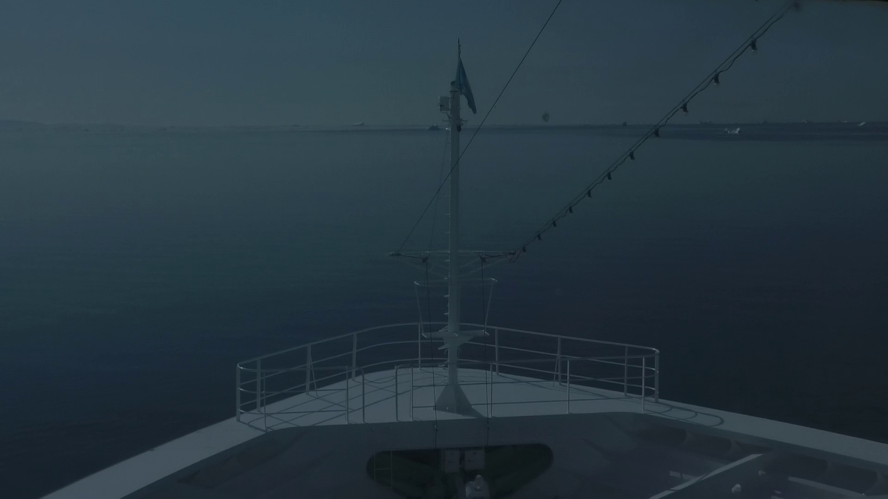 Bugcam MS Amadea