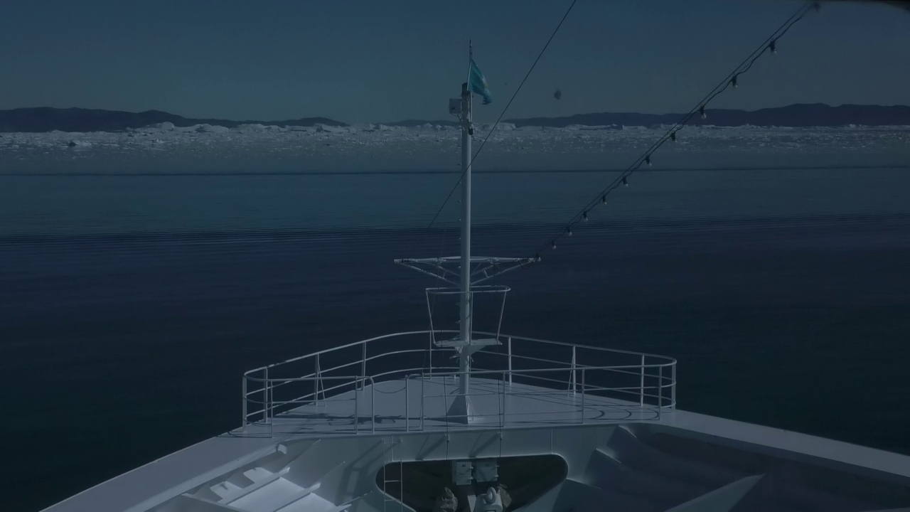 Bugcam MS Amadea