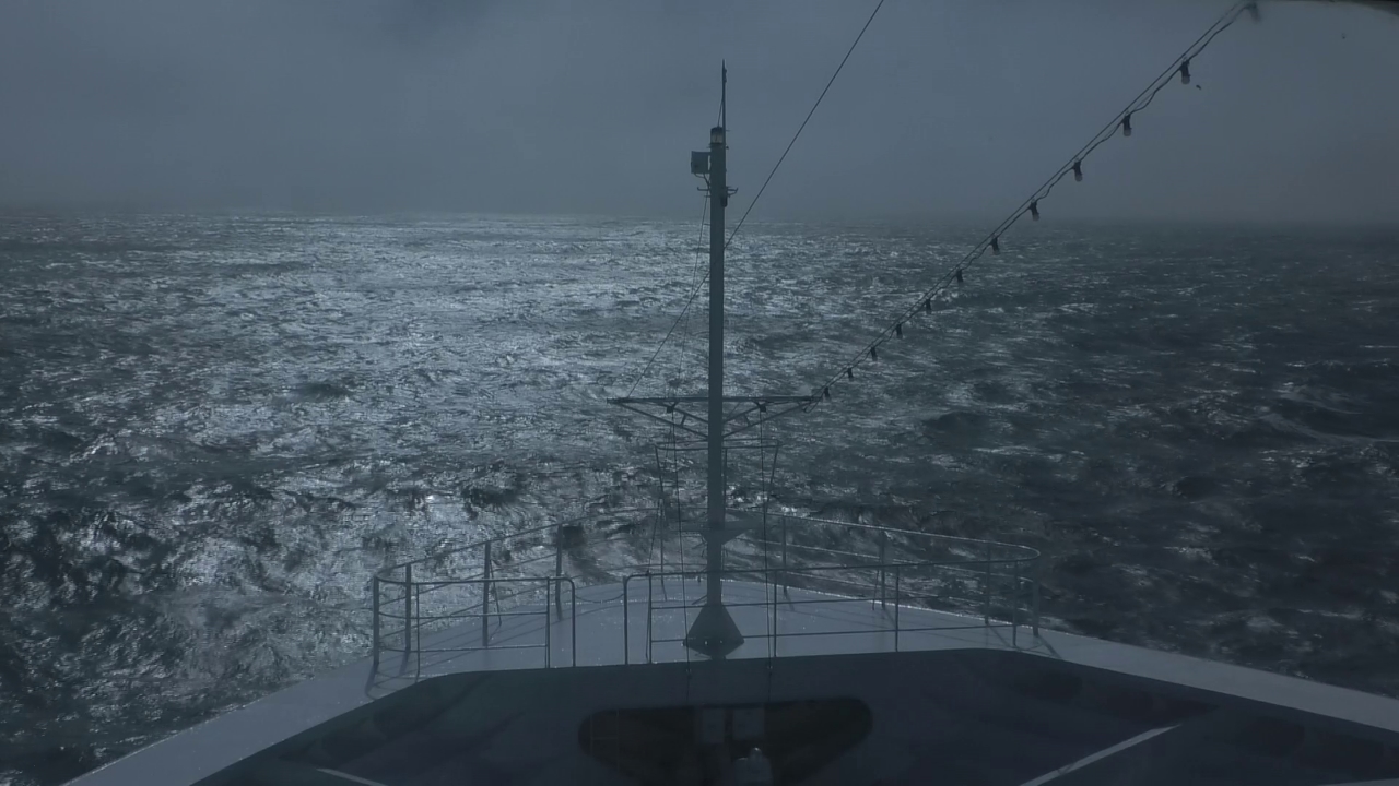 Bugcam MS Amadea