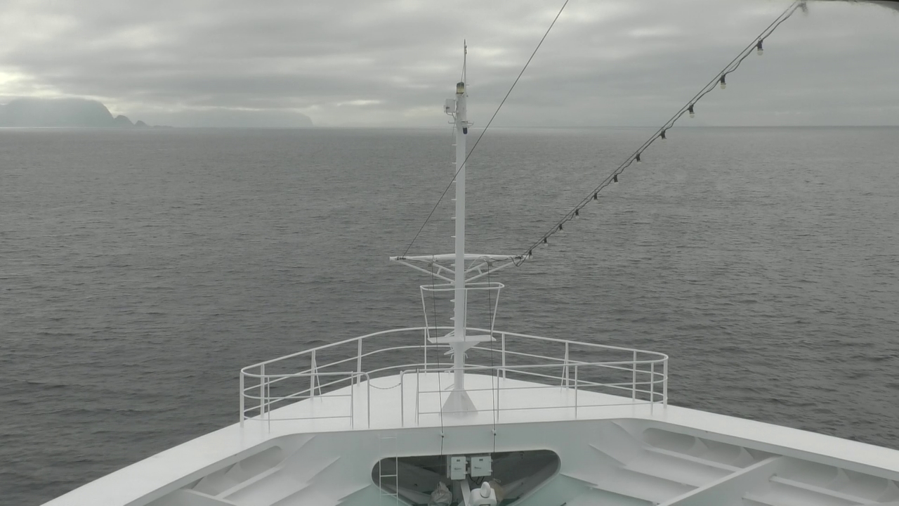 Bugcam MS Amadea