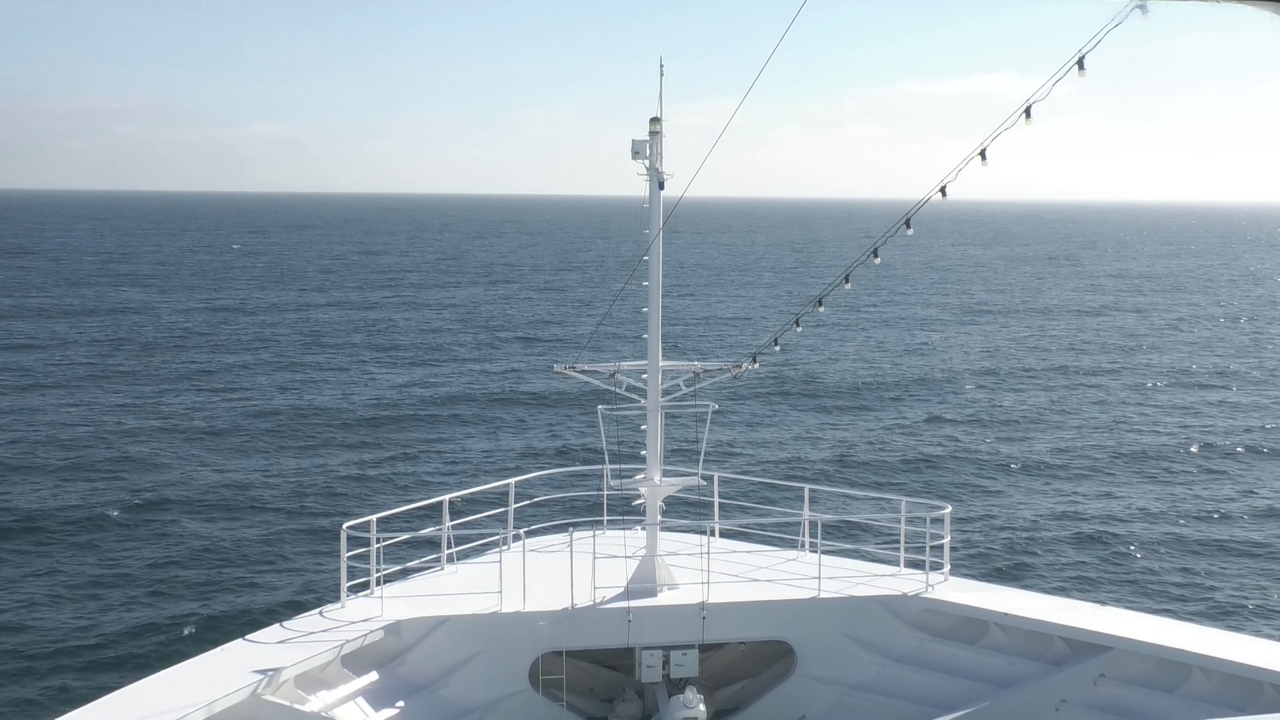 Bugcam MS Amadea