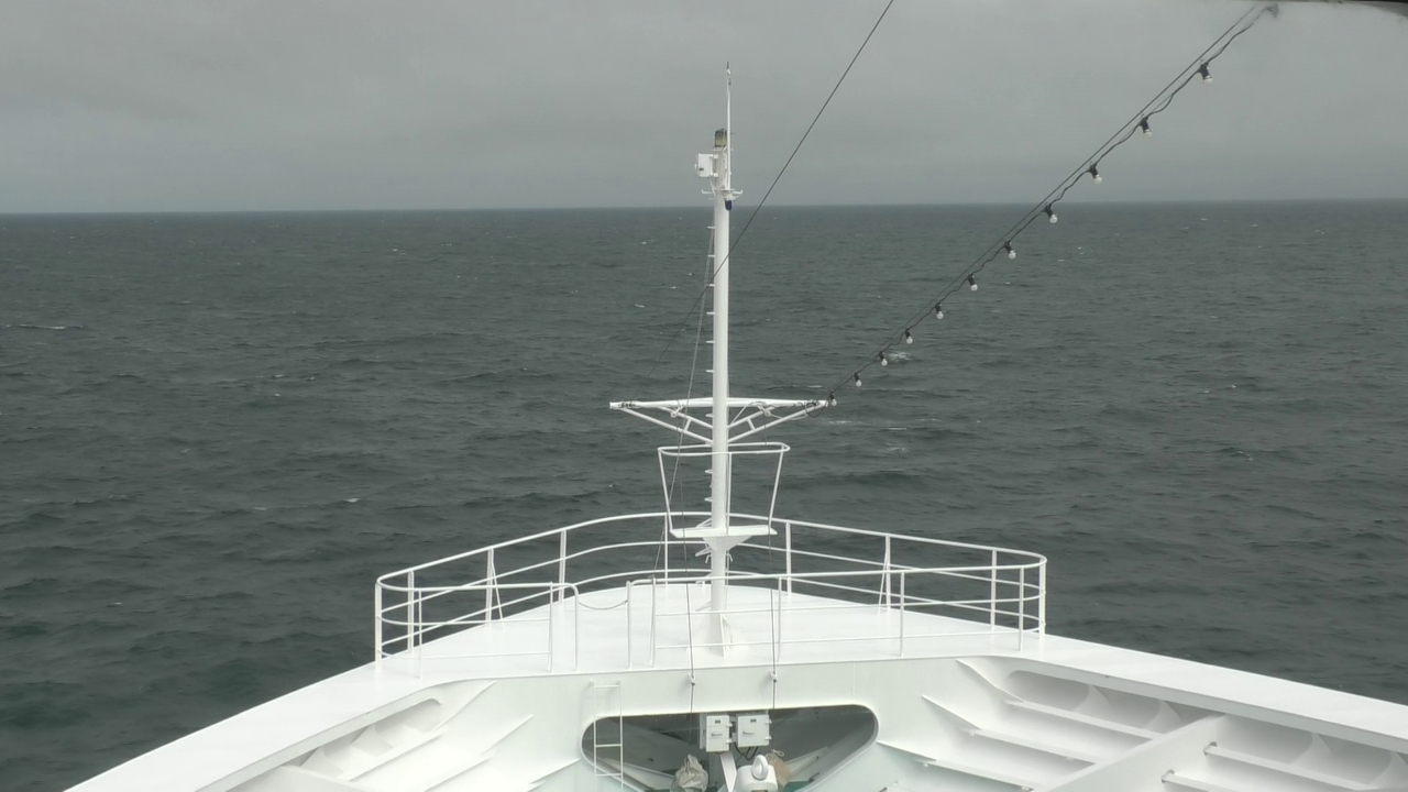 Bugcam MS Amadea