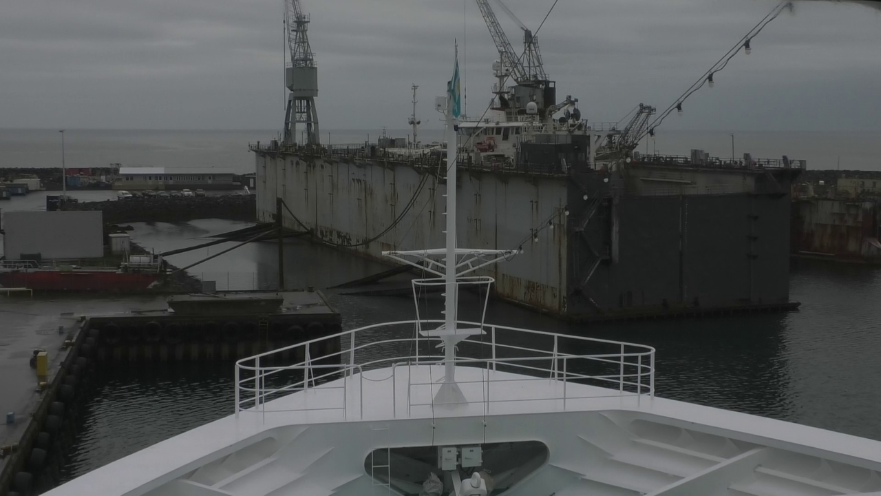 Bugcam MS Amadea