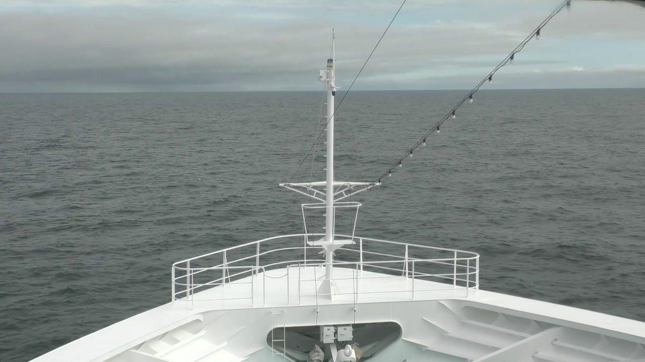 Bugcam MS Amadea