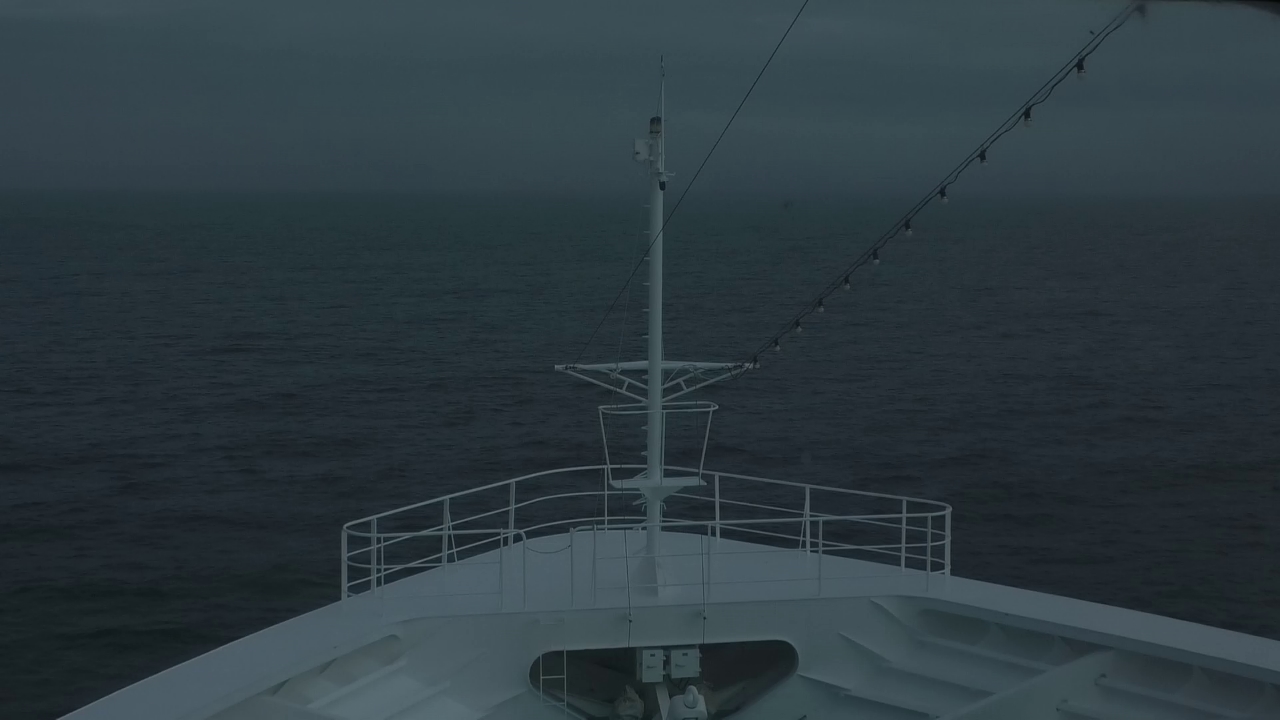 Bugcam MS Amadea