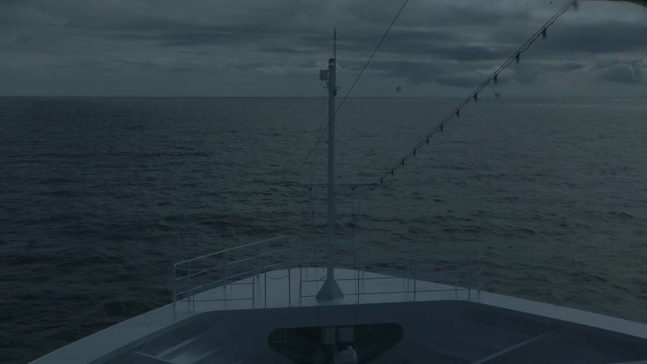 Bugcam MS Amadea