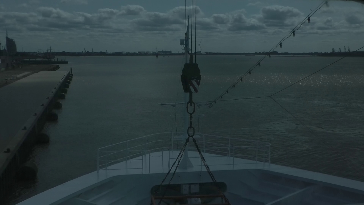 Bugcam MS Amadea
