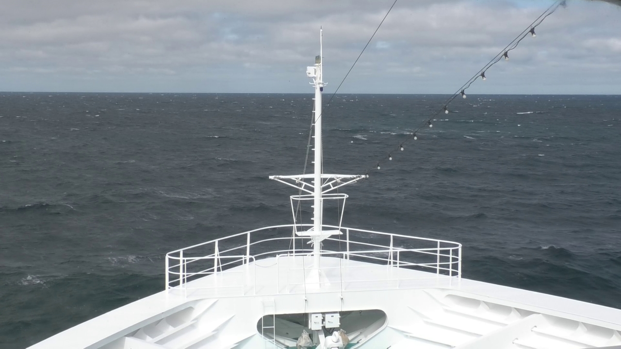 Bugcam MS Amadea