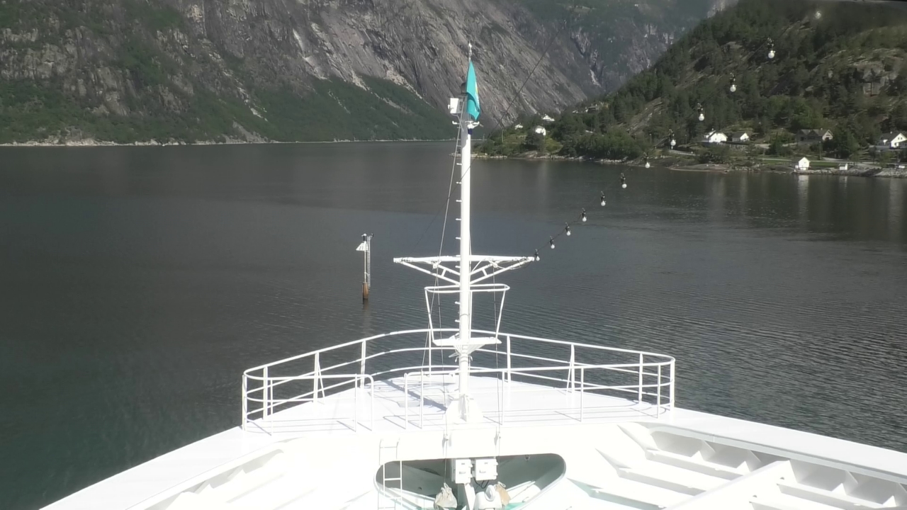 Bugcam MS Amadea