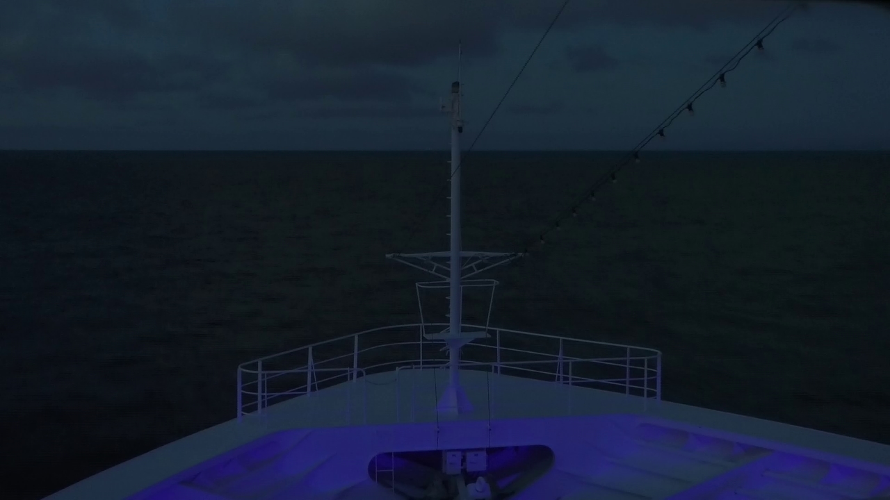 Bugcam MS Amadea
