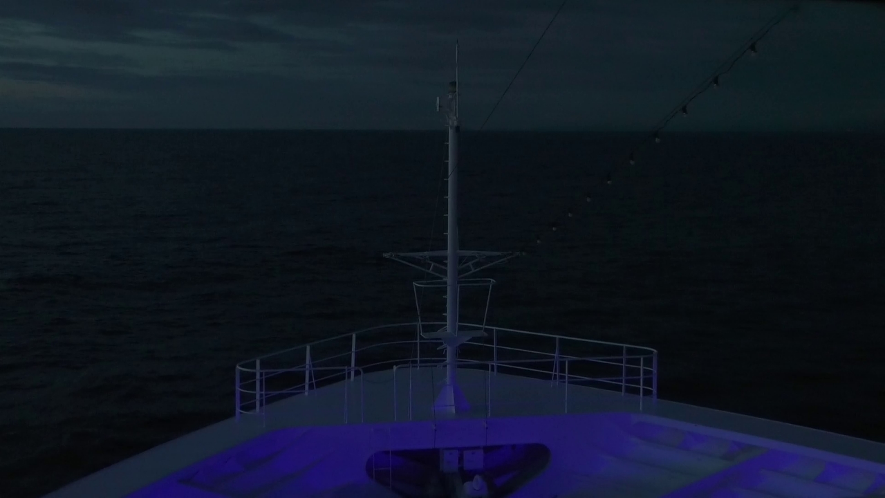 Bugcam MS Amadea