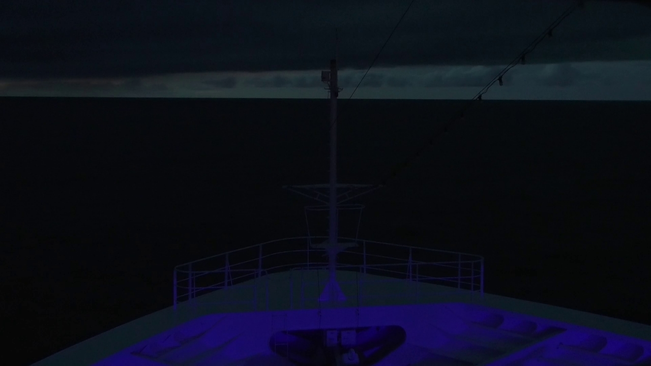 Bugcam MS Amadea