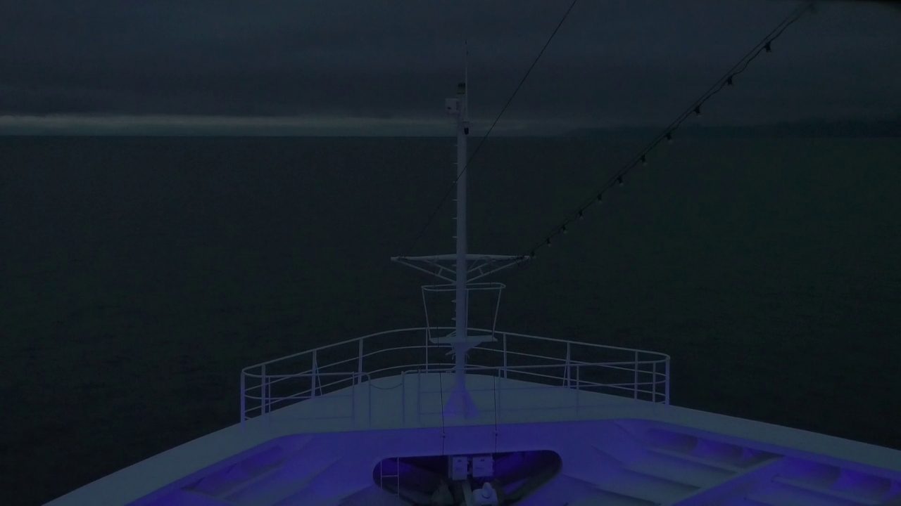 Bugcam MS Amadea