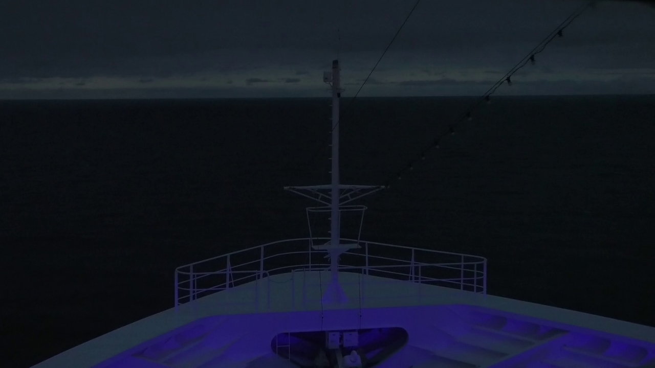 Bugcam MS Amadea