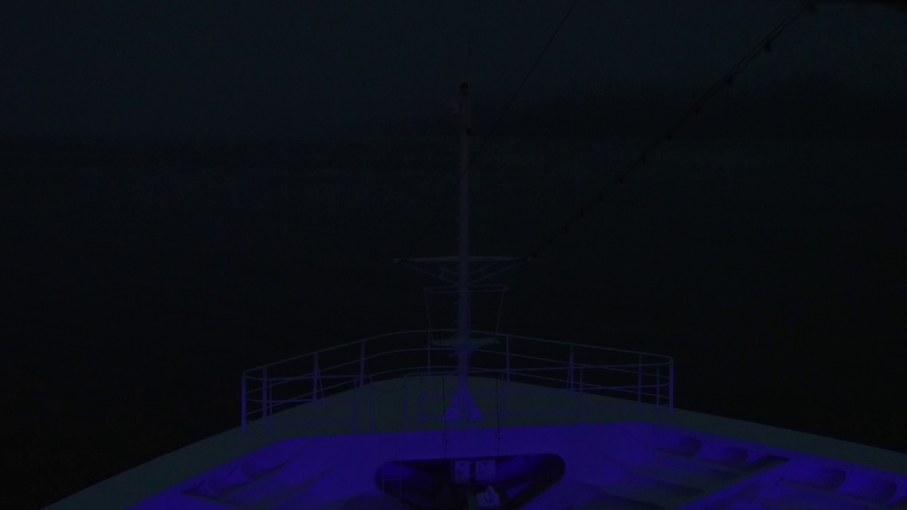 Bugcam MS Amadea