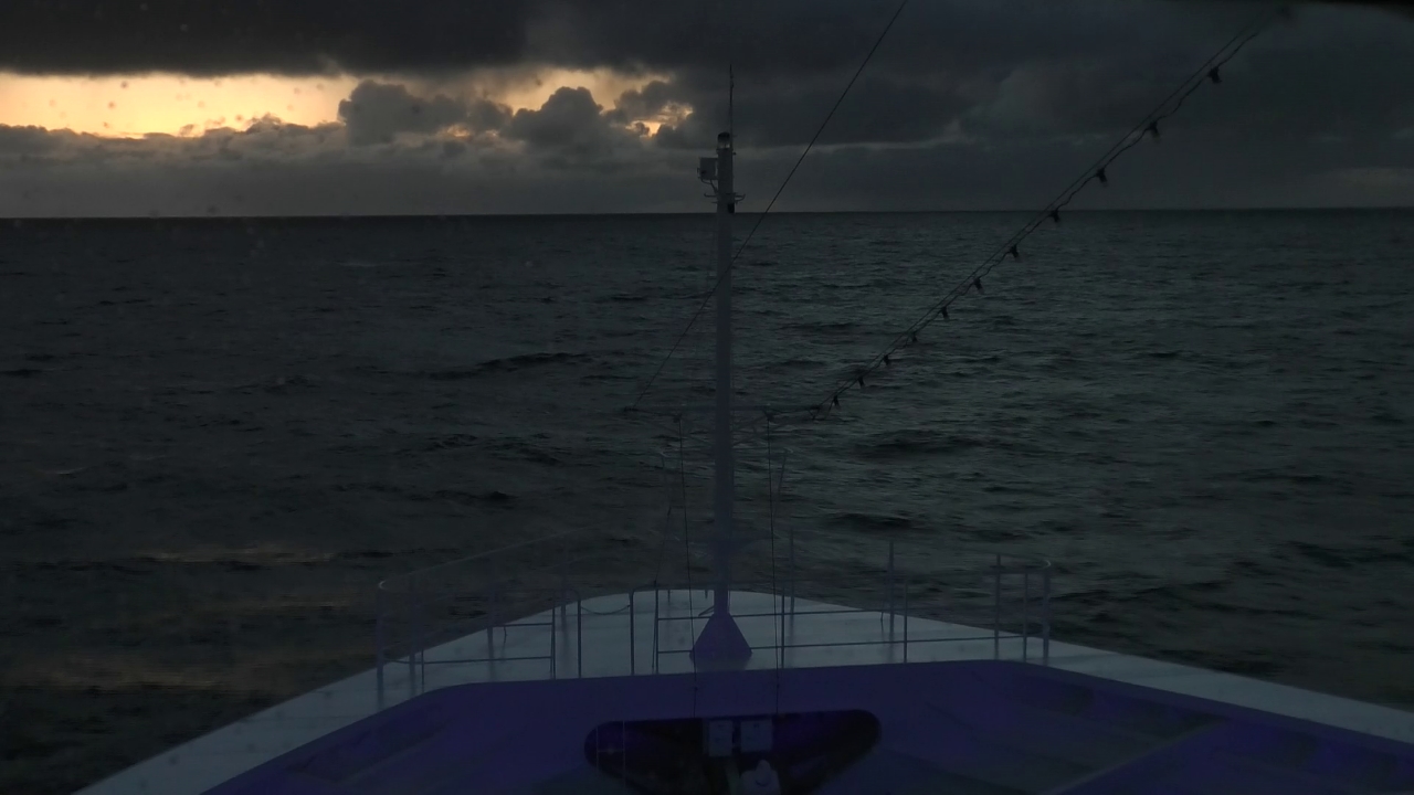 Bugcam MS Amadea