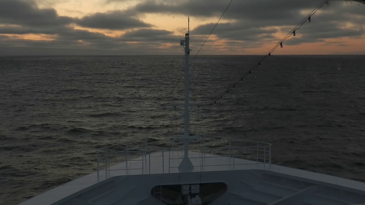 Bugcam MS Amadea