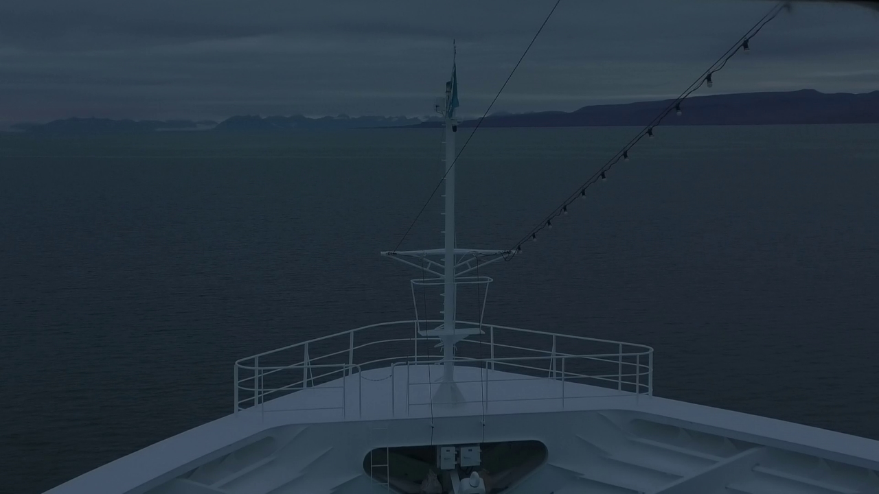 Bugcam MS Amadea