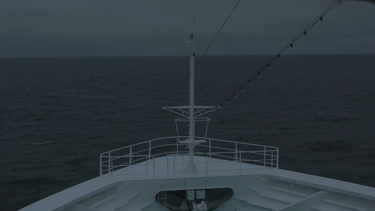 Bugcam MS Amadea