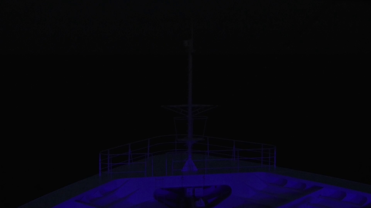 Bugcam MS Amadea