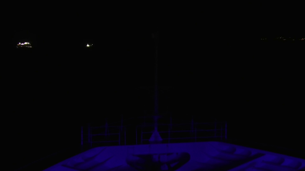 Bugcam MS Amadea
