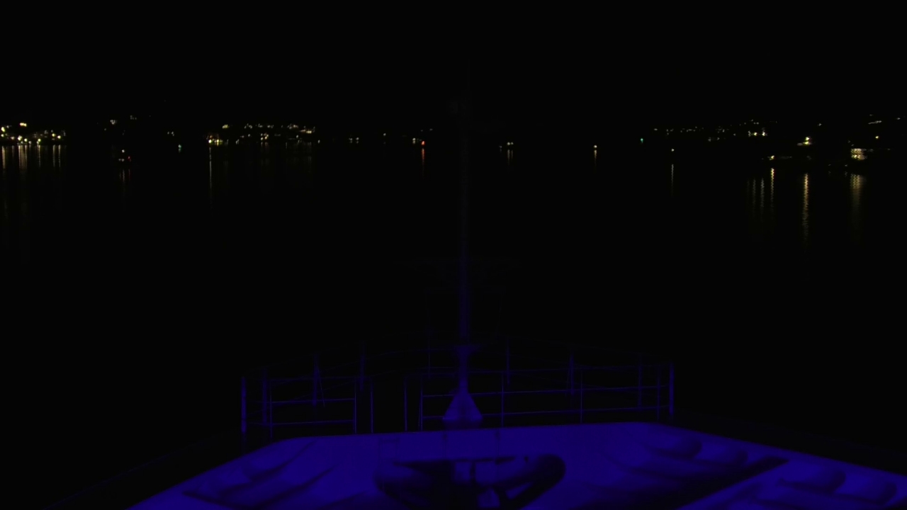 Bugcam MS Amadea