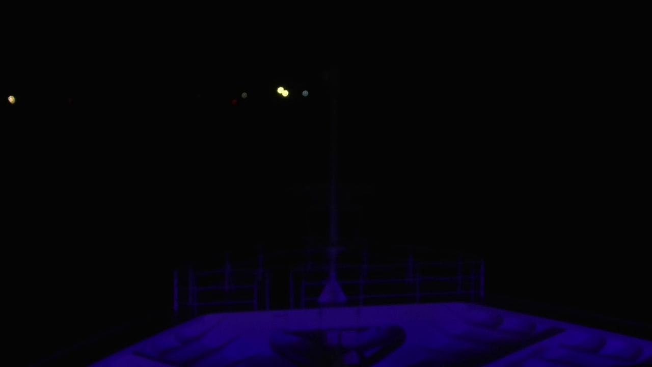 Bugcam MS Amadea