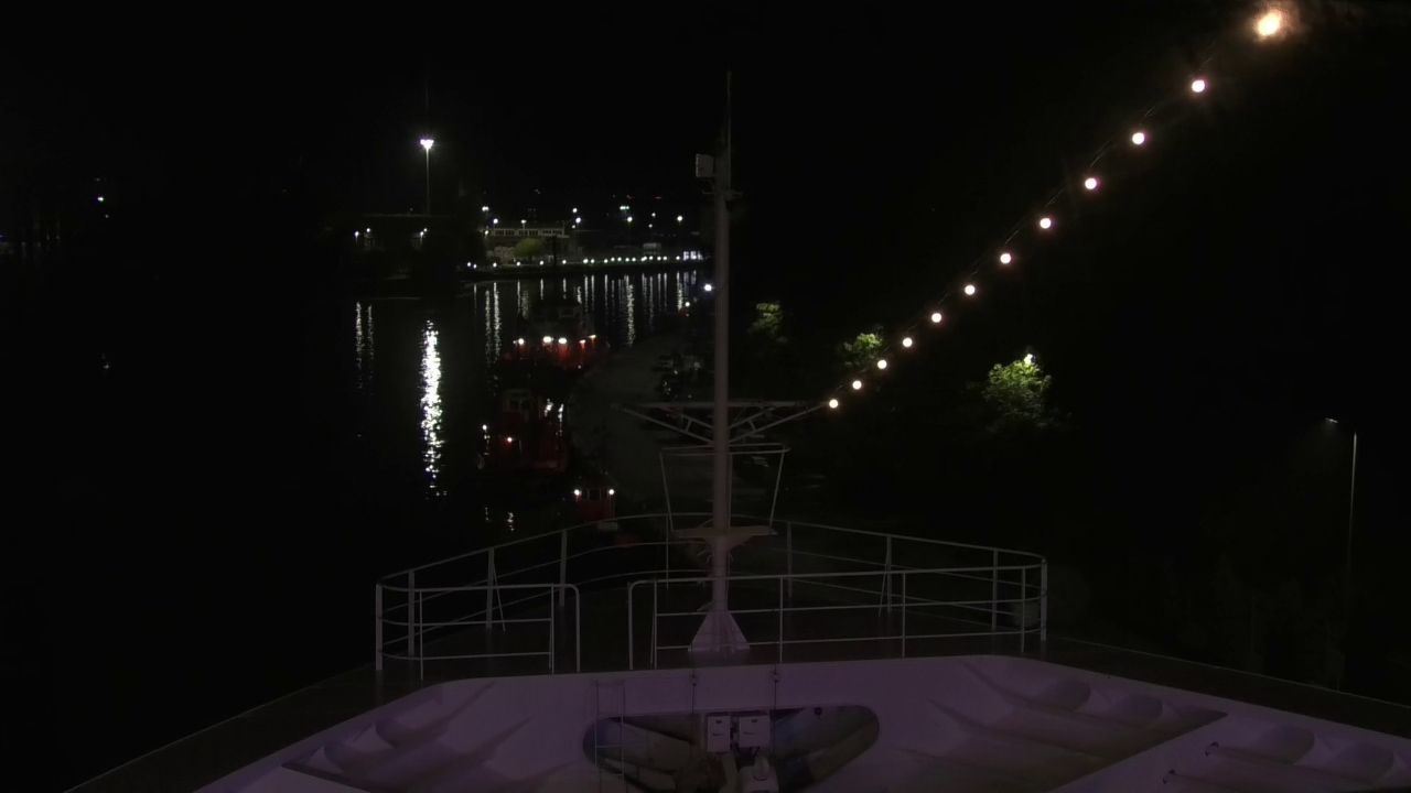 Bugcam MS Amadea