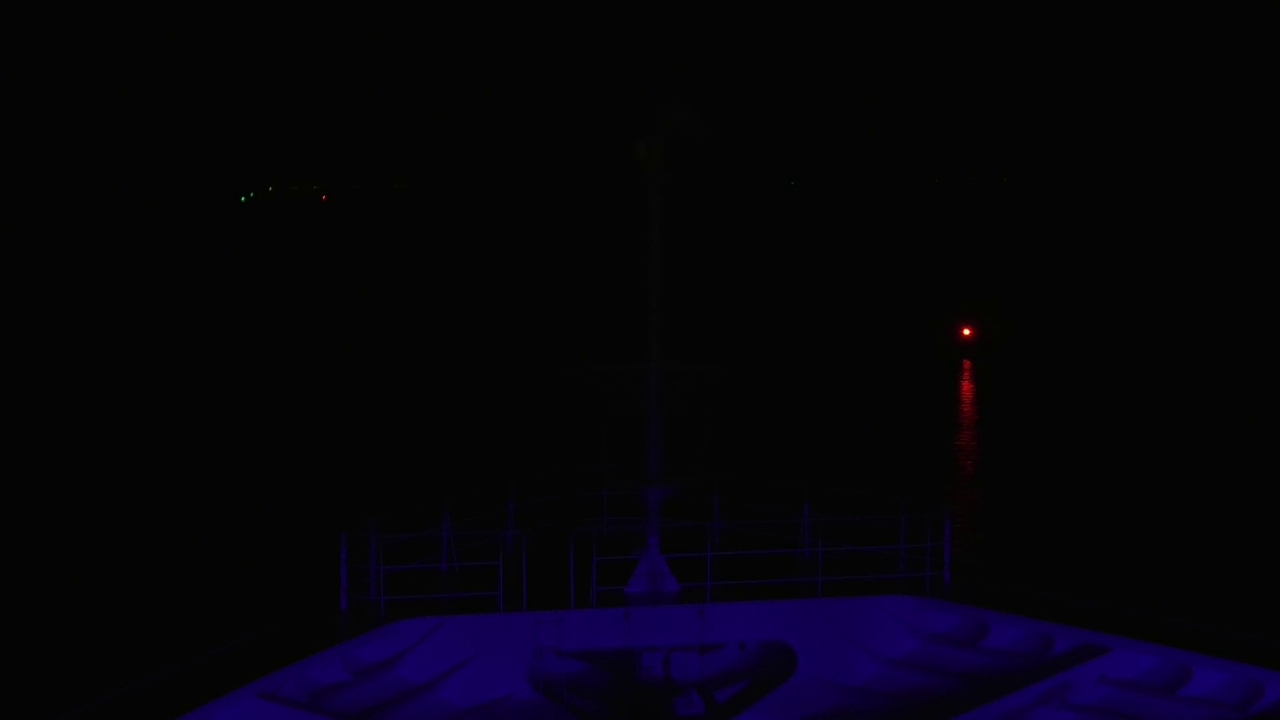 Bugcam MS Amadea