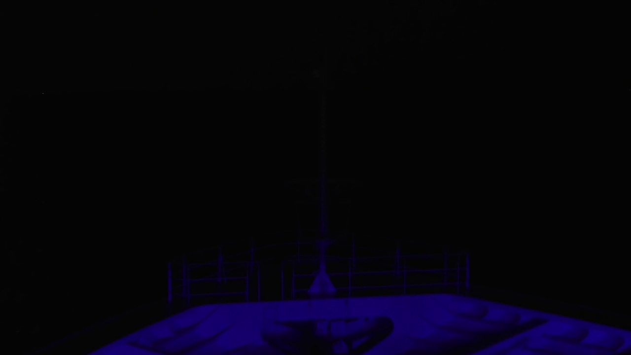 Bugcam MS Amadea
