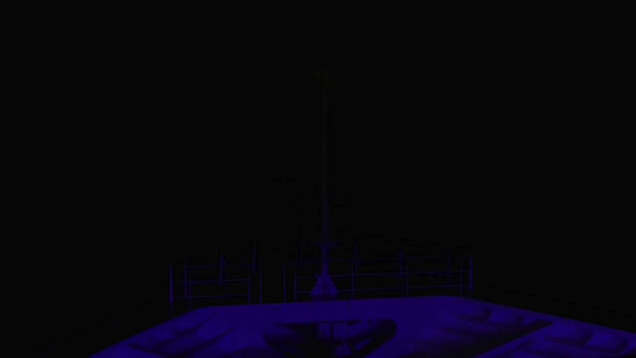 Bugcam MS Amadea