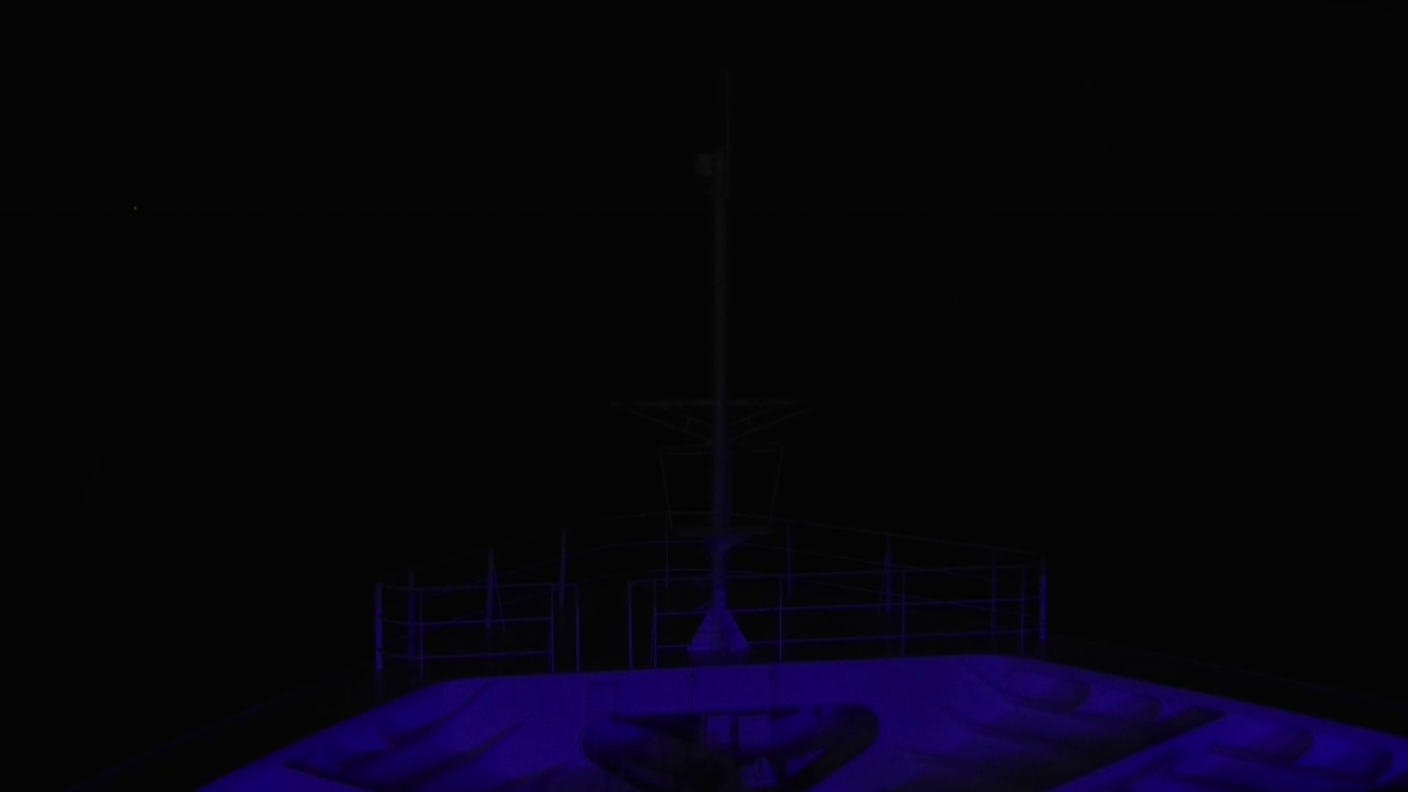 Bugcam MS Amadea