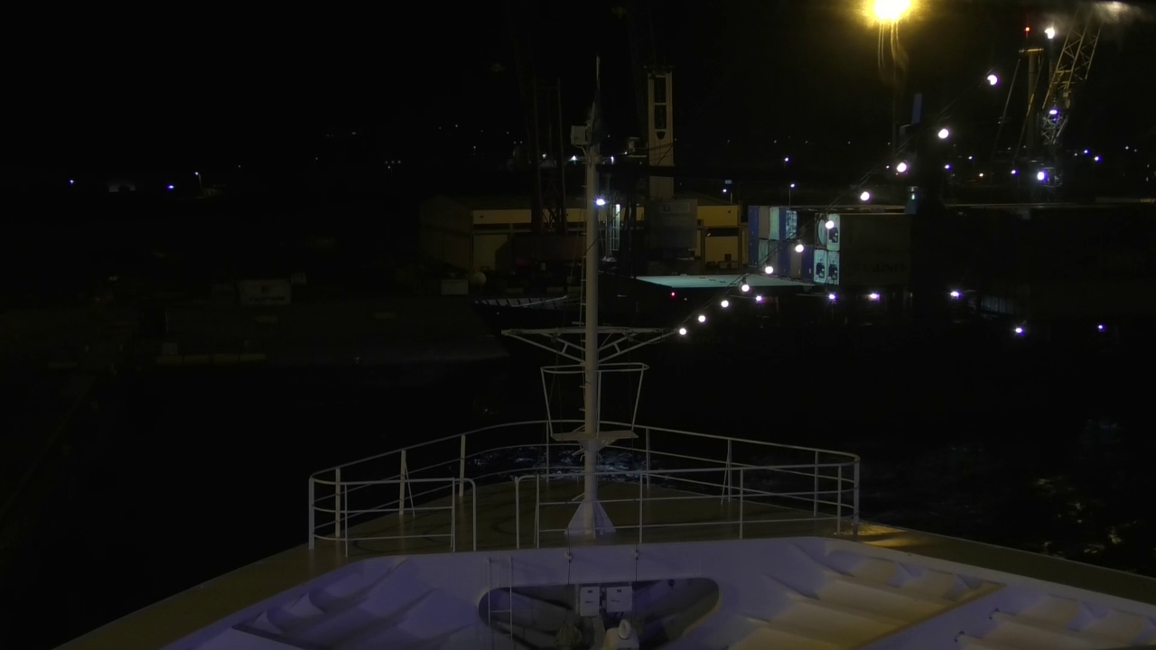Bugcam MS Amadea