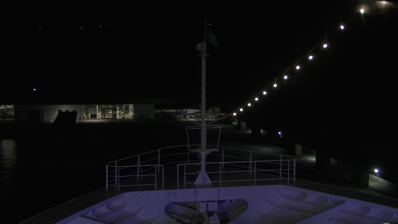 Bugcam MS Amadea