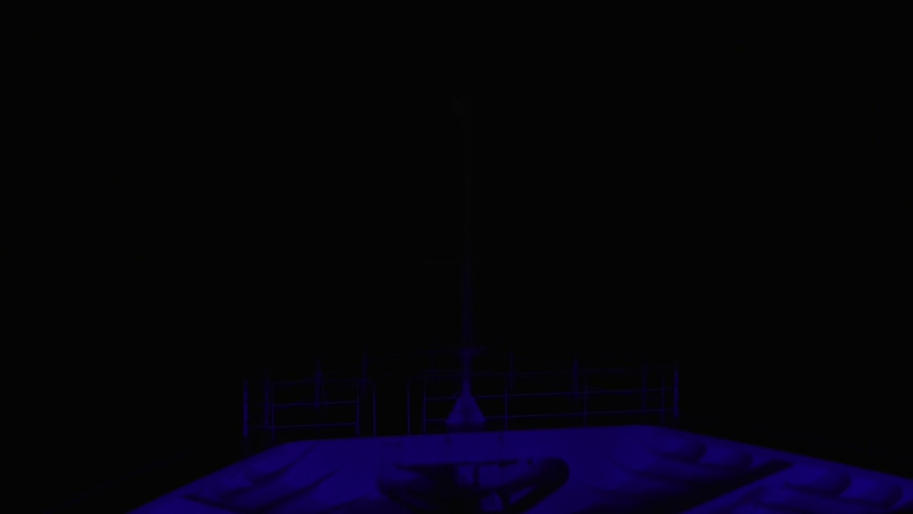 Bugcam MS Amadea