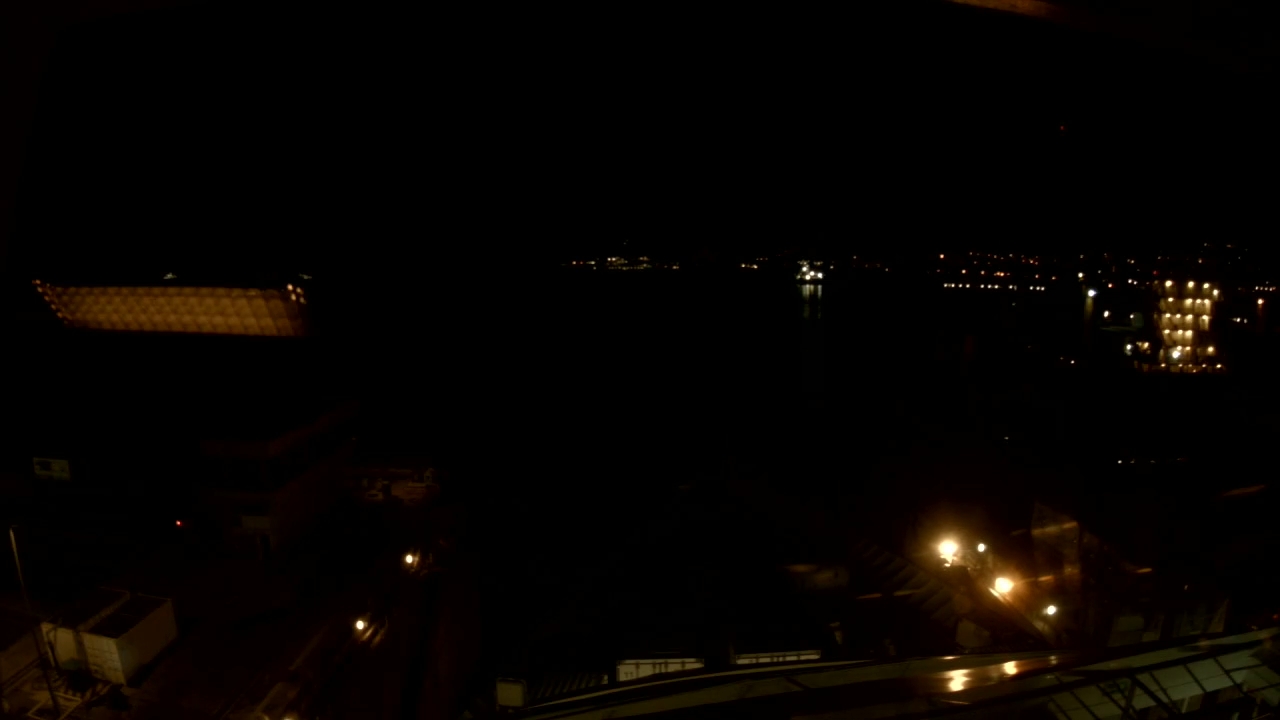 Bugcam MS Amera