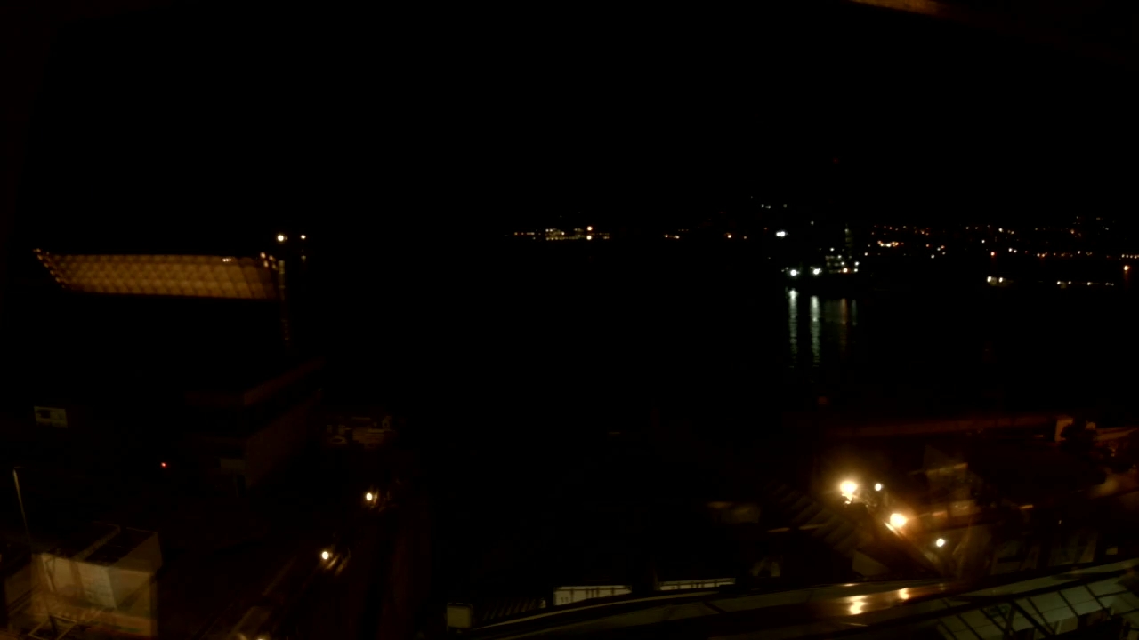 Bugcam MS Amera