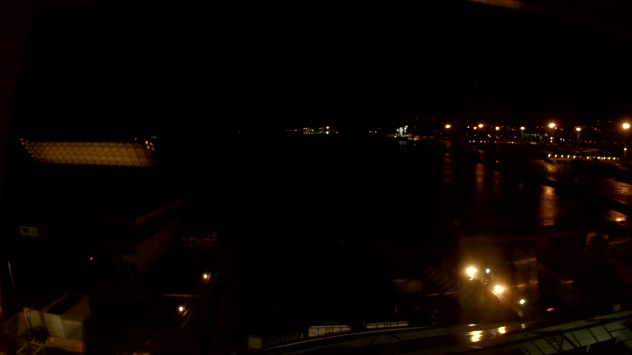 Bugcam MS Amera