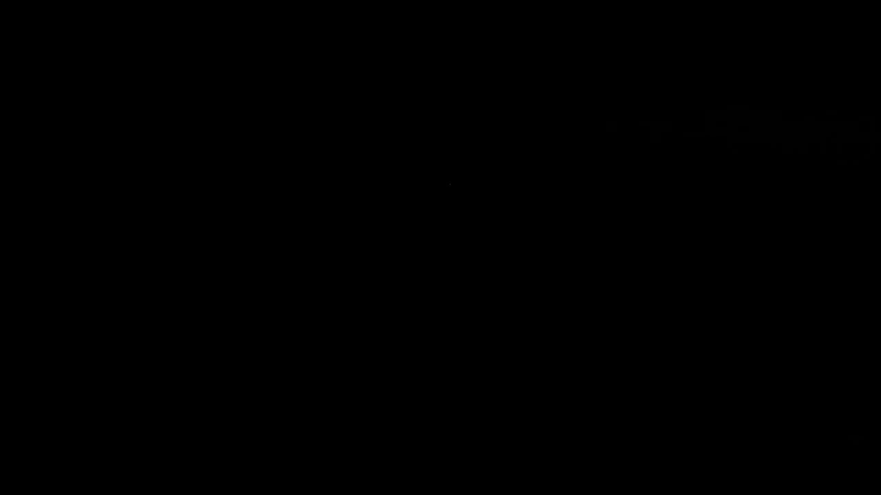 Bugcam MS Amera