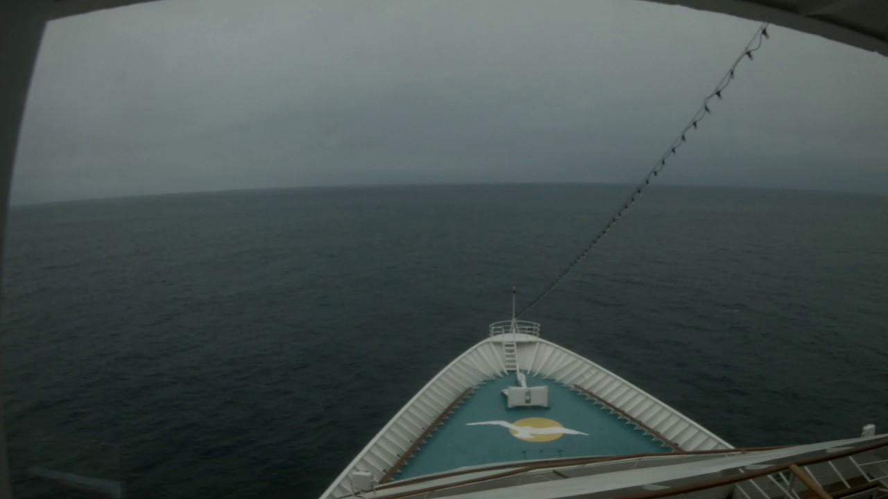 Bugcam MS Amera