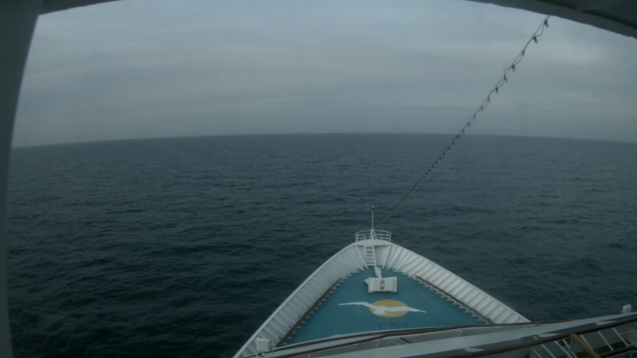 Bugcam MS Amera