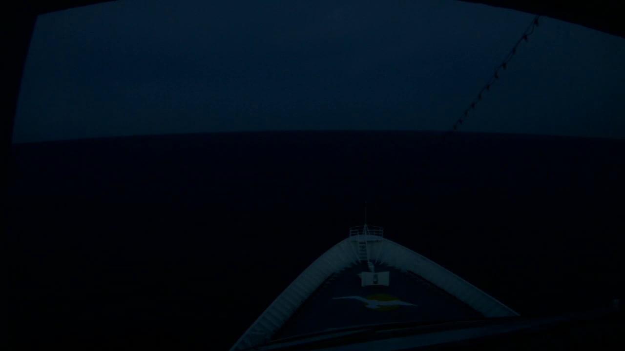 Bugcam MS Amera