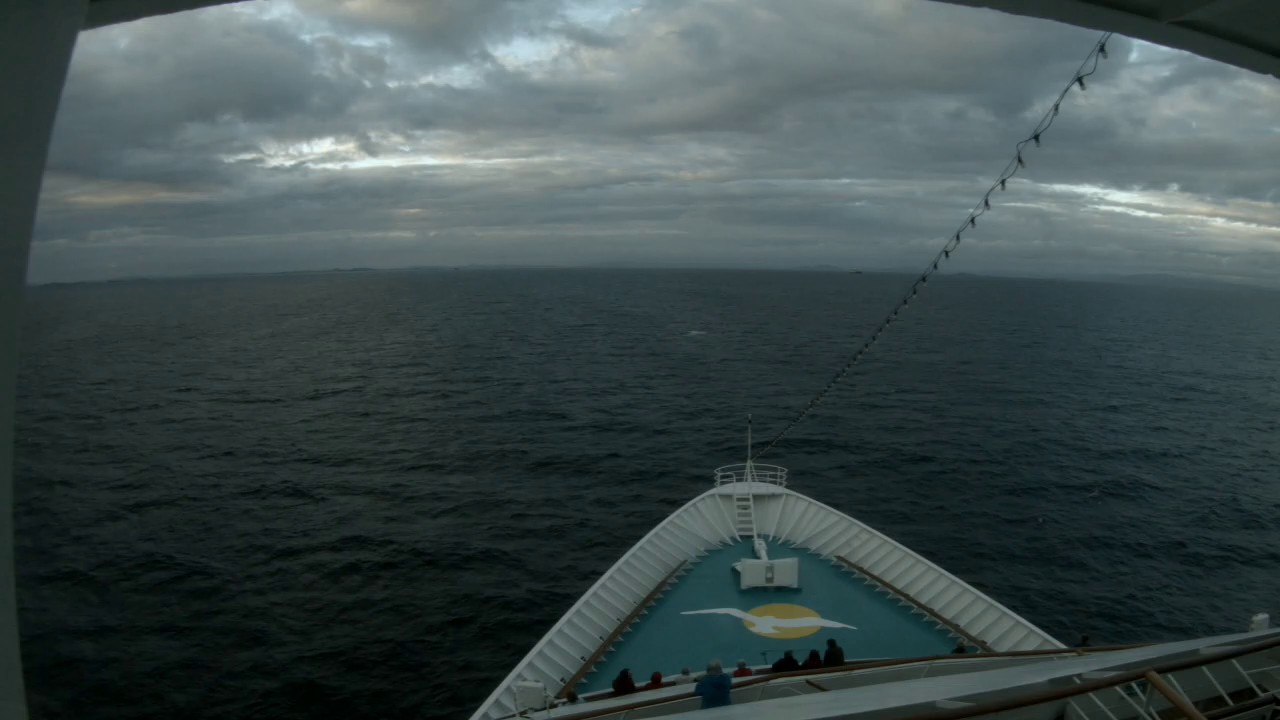 Bugcam MS Amera