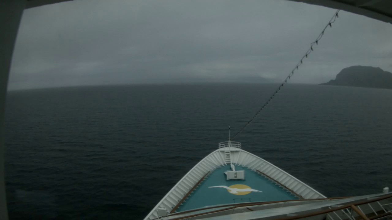 Bugcam MS Amera