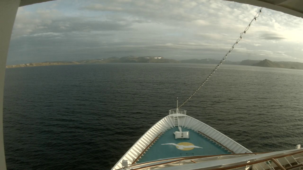 Bugcam MS Amera
