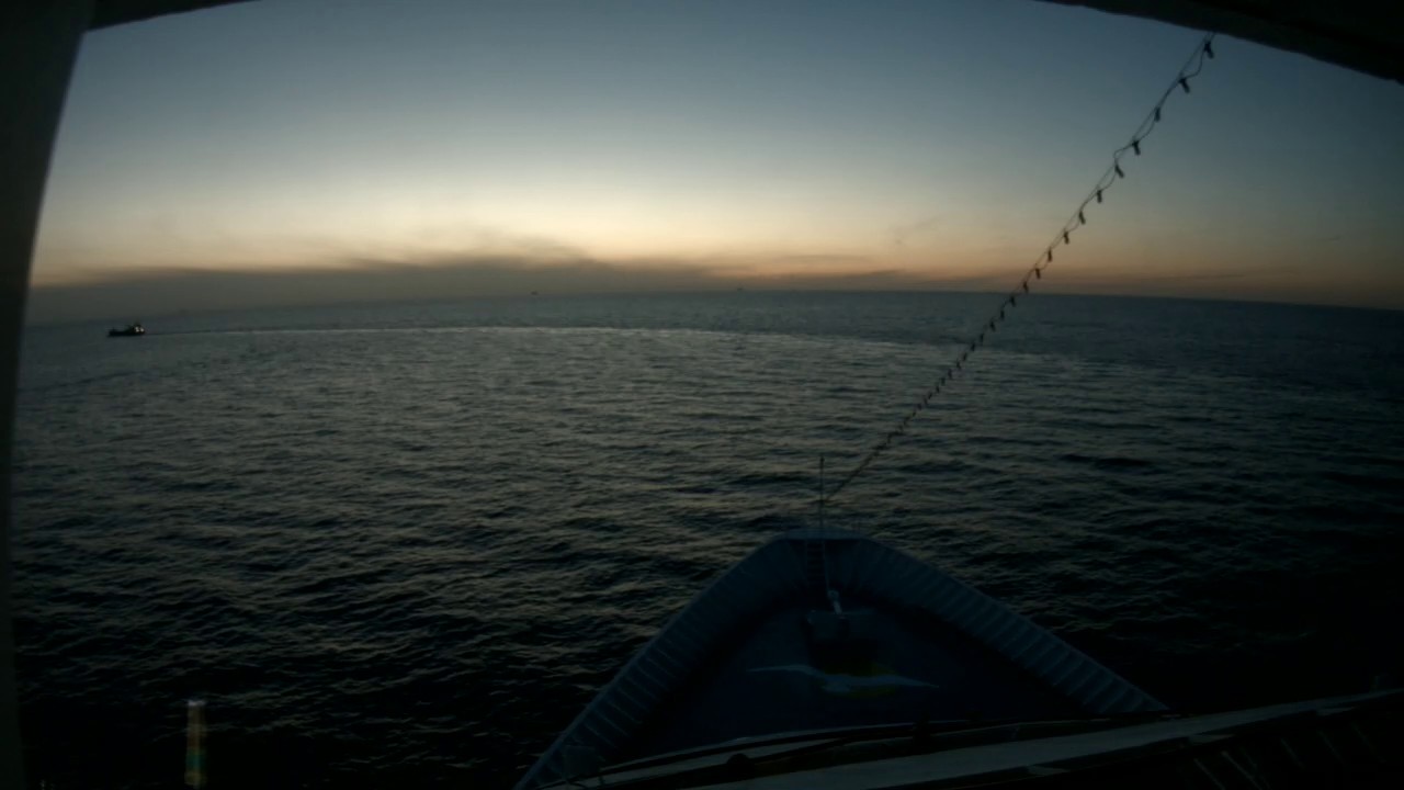 Bugcam MS Amera