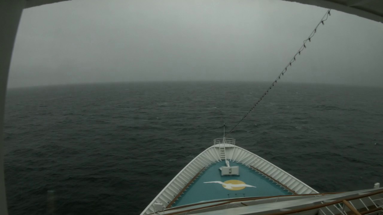 Bugcam MS Amera