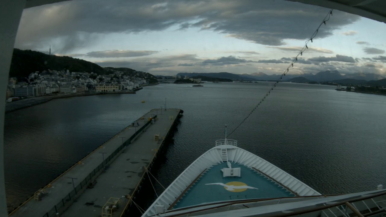 Bugcam MS Amera