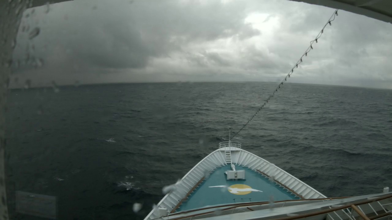 Bugcam MS Amera