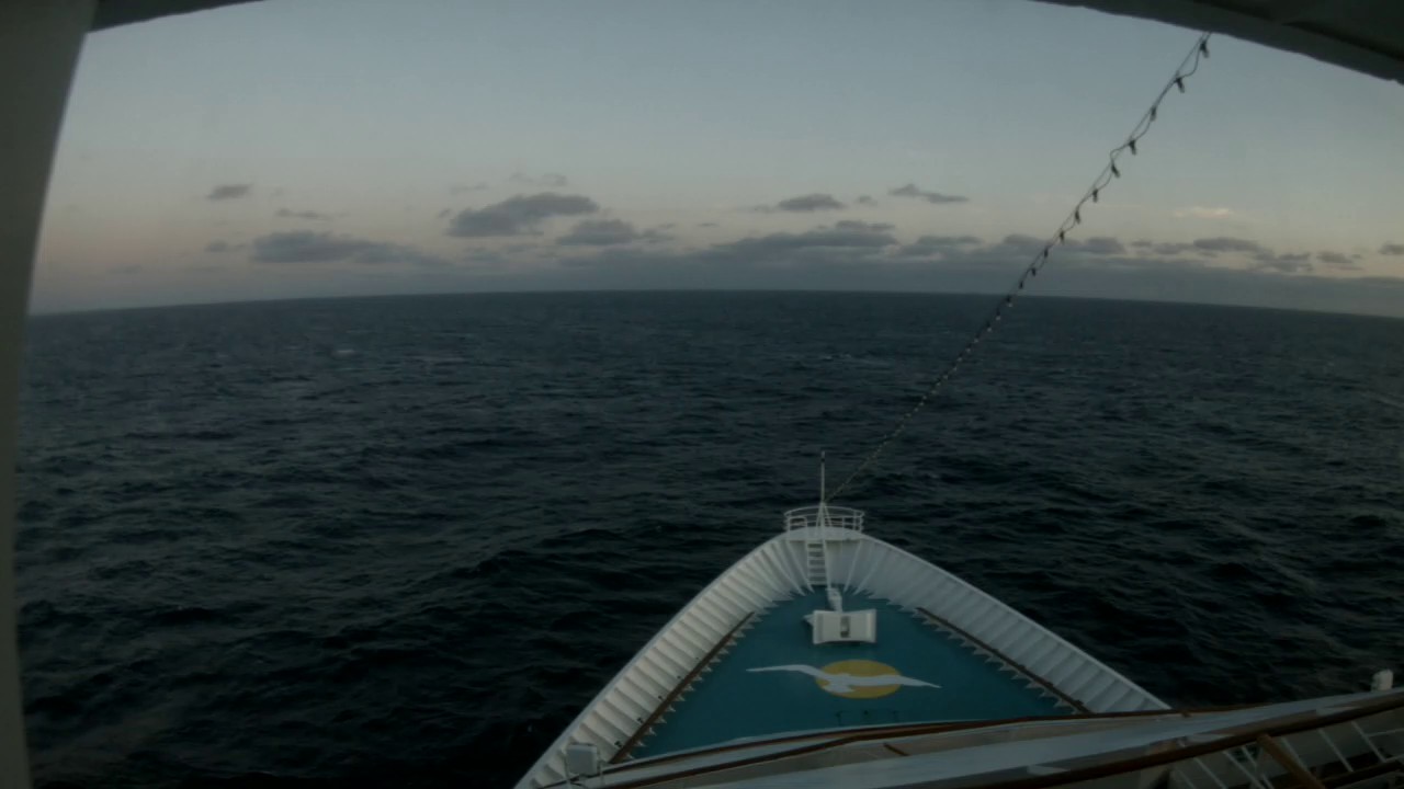 Bugcam MS Amera